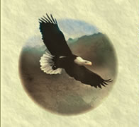 Alan Strachan Logo of Eagle flying